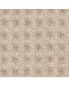Anderson Tuftex Purrfection Matchstick Carpet - ZZ097-00121
