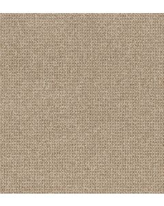 Anderson Tuftex Purrfection Great Plains Carpet - ZZ097-00125