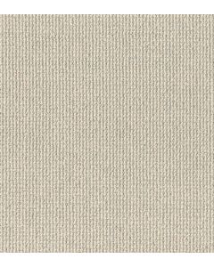Anderson Tuftex Purrfection Polar Sky Carpet - ZZ097-00143