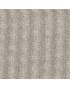 Anderson Tuftex Purrfection Silver Birch Carpet - ZZ097-00543