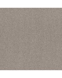 Anderson Tuftex Purrfection Metropolis Carpet - ZZ097-00755