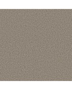 Anderson Tuftex Kaleidoscope Sandy Cove Carpet - ZZ255-00110