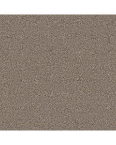 Anderson Tuftex Kaleidoscope Natural Stone Carpet - ZZ255-00172