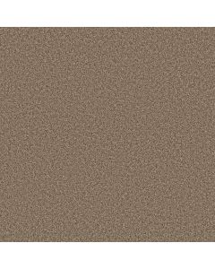 Anderson Tuftex Kaleidoscope Shimmering Carpet - ZZ255-00200