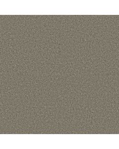 Anderson Tuftex Kaleidoscope Cool Dill Carpet - ZZ255-00335