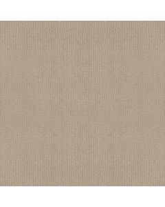 Anderson Tuftex Lyric Blonde Carpet - ZZ257-00122