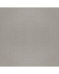 Anderson Tuftex Lyric Solitude Carpet - ZZ257-00551