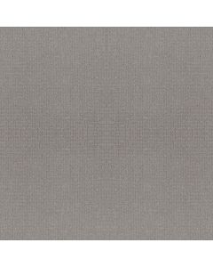 Anderson Tuftex Lyric Sensible Carpet - ZZ257-00553