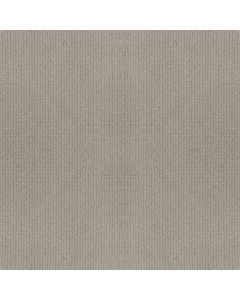 Anderson Tuftex Lyric Mindful Carpet - ZZ257-00572