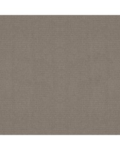 Anderson Tuftex Lyric Connected Carpet - ZZ257-00576