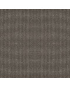 Anderson Tuftex Lyric Shade Carpet - ZZ257-00578
