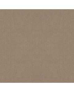 Anderson Tuftex Lyric Camelback Carpet - ZZ257-00673
