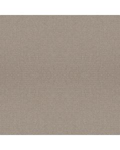 Anderson Tuftex Lyric Grounded Carpet - ZZ257-00753