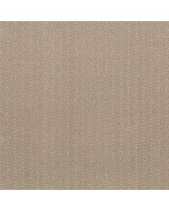 Anderson Tuftex Kit Blonde Carpet - ZZ258-00122