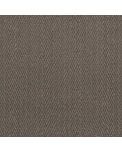 Anderson Tuftex Kit Shade Carpet - ZZ258-00578