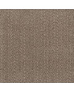 Anderson Tuftex Kit Camelback Carpet - ZZ258-00673