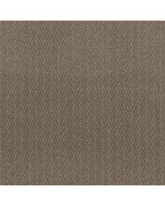 Anderson Tuftex Kit Sable Carpet - ZZ258-00775