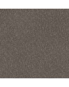 Anderson Tuftex Caboodle Shade Carpet - ZZ259-00578