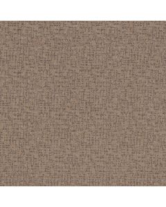 Anderson Tuftex Caboodle Camelback Carpet - ZZ259-00673