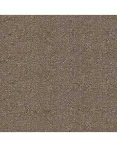 Anderson Tuftex Caboodle Sable Carpet - ZZ259-00775