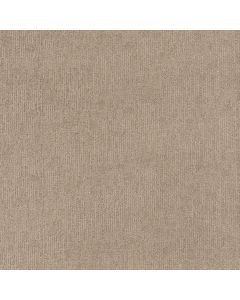 Anderson Tuftex Sneak Peek Canyon Dust Carpet - ZZ260-00173