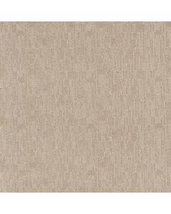 Anderson Tuftex Sneak Peek Almond Latte Carpet - ZZ260-00211