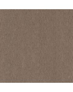 Anderson Tuftex Sneak Peek Caffeine Carpet - ZZ260-00775