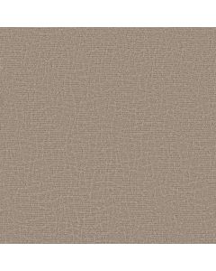 Anderson Tuftex Chit Chat Canyon Dust Carpet - ZZ261-00173