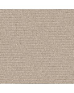 Anderson Tuftex Chit Chat Almond Latte Carpet - ZZ261-00211