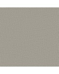 Anderson Tuftex Chit Chat Morning Zen Carpet - ZZ261-00313