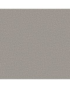 Anderson Tuftex Chit Chat Campfire Ash Carpet - ZZ261-00552