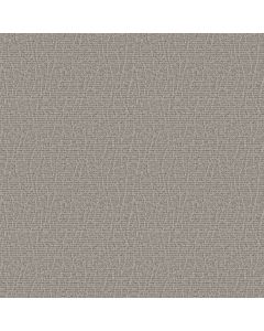 Anderson Tuftex Chit Chat Nightingale Carpet - ZZ261-00572