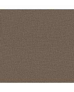 Anderson Tuftex Chit Chat Leather Work Carpet - ZZ261-00767