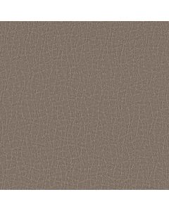 Anderson Tuftex Chit Chat Caffeine Carpet - ZZ261-00775