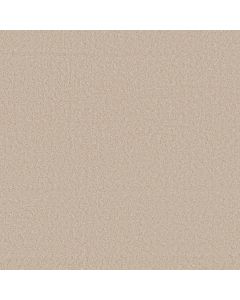 Anderson Tuftex Enchanting Tapioca Carpet - ZZ267-00162