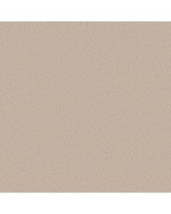 Anderson Tuftex Enduring Charm Tapioca Carpet - ZZ268-00162