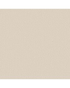 Anderson Tuftex Elegant Beauty Cloud Carpet - ZZ269-00111