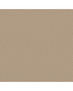 Anderson Tuftex Elegant Beauty Transparent Carpet - ZZ269-00114