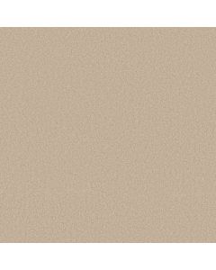Anderson Tuftex Elegant Beauty Tapioca Carpet - ZZ269-00162
