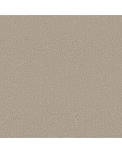 Anderson Tuftex Elegant Beauty Sandshell Carpet - ZZ269-00172