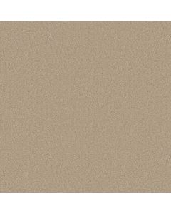 Anderson Tuftex Elegant Beauty Buff Carpet - ZZ269-00173