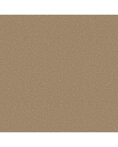 Anderson Tuftex Elegant Beauty Natural Carpet - ZZ269-00174