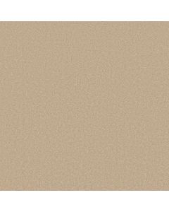 Anderson Tuftex Elegant Beauty Papyrus Carpet - ZZ269-00222