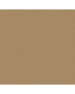 Anderson Tuftex Elegant Beauty Winter Wheat Carpet - ZZ269-00224