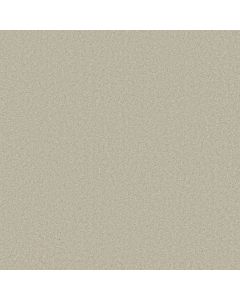 Anderson Tuftex Elegant Beauty Aloe Wash Carpet - ZZ269-00322