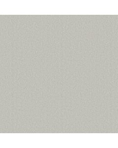 Anderson Tuftex Elegant Beauty Icy Morn Carpet - ZZ269-00341
