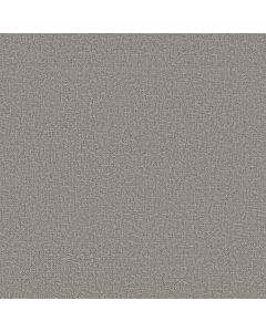 Anderson Tuftex Knickknack Calm Pewter Carpet - ZZ271-00553