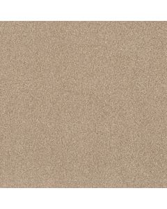 Anderson Tuftex Bossa Nova Reed Carpet - ZZ275-00224