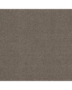 Anderson Tuftex Bossa Nova Arrowhead Carpet - ZZ275-00536
