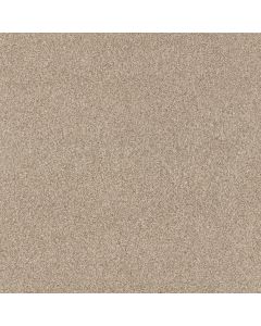 Anderson Tuftex Via Nova Beach Grass Carpet - ZZ276-00223